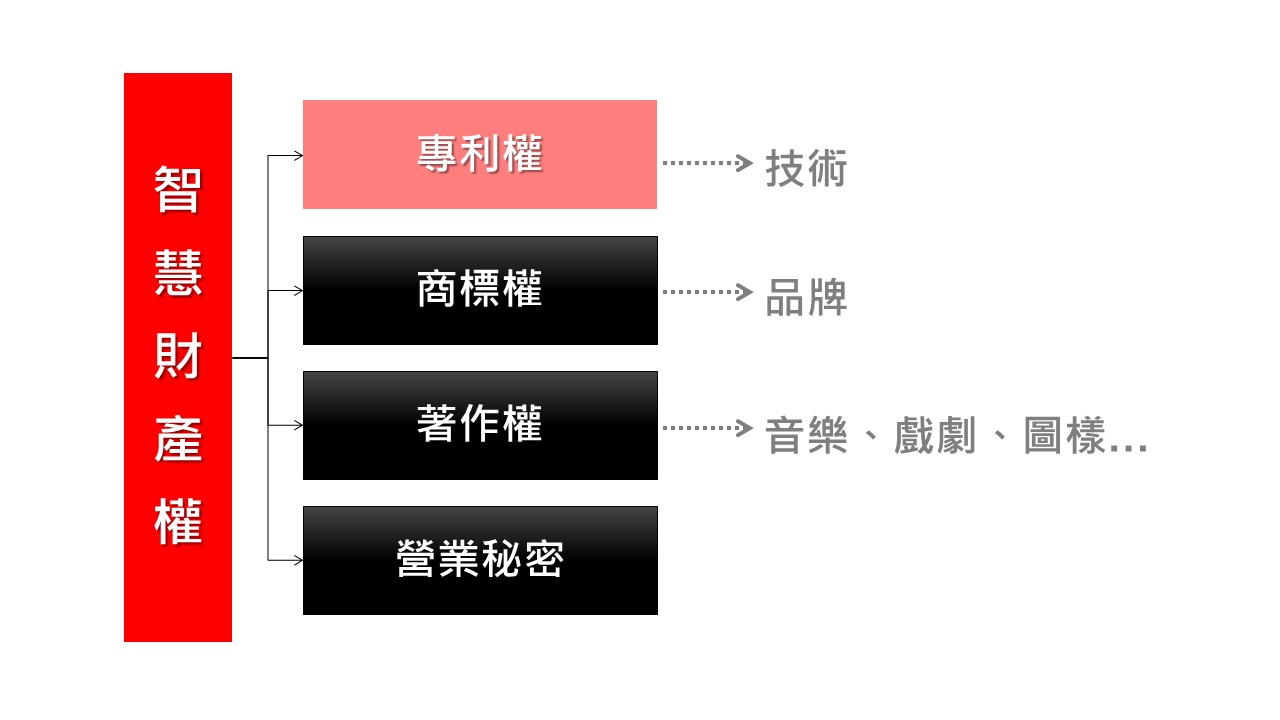 智慧財產權-張育禎
